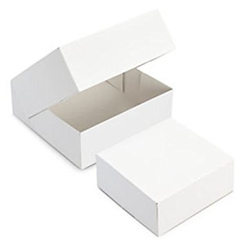 FaisTonGateau 50 Unidades Cajas para Tarta Cuadrado 22 cm x 22 cm x 8 cm, Blanco