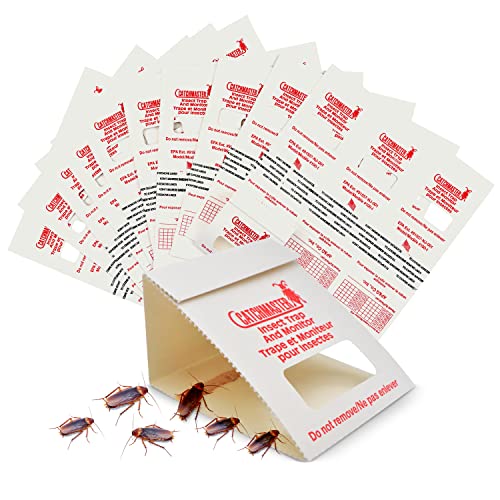 Catchmaster 100i – Trampas Cucarachas – 30 Piezas – Trampas Adhesivas de máxima Calidad para Cucarachas – Sin Veneno ni biocidas – Trampa Anti Cucarachas – Seguro para Niños y Mascotas